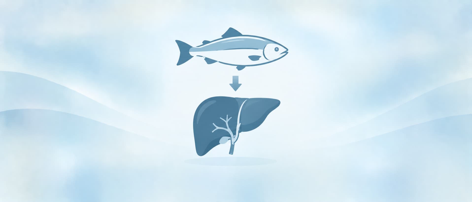 Fish above a liver with its bile duct highlighted, for cholangiocarcinoma bile duct cancer from raw fish